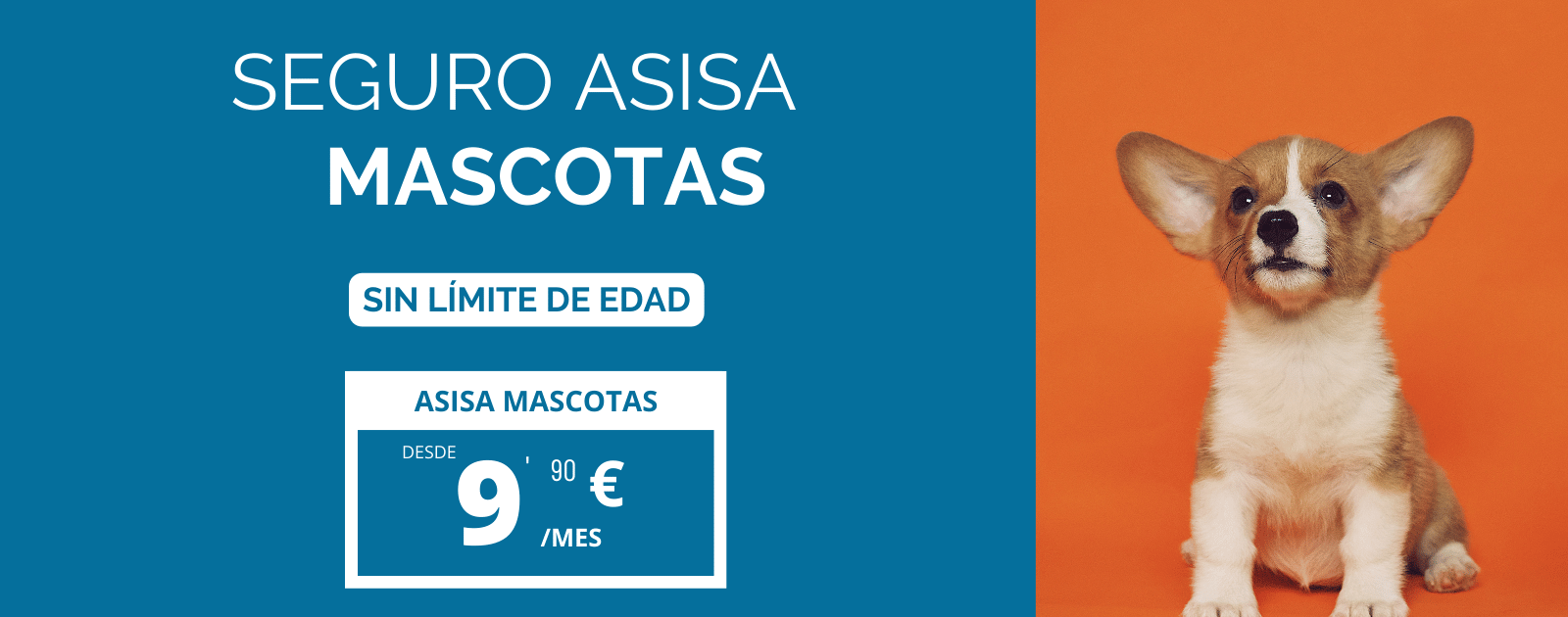 ASISA MASCOTAS SIN LIMITE DE EDAD